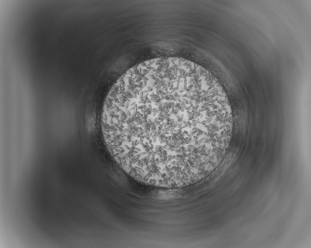 X0000102530134200809051517
