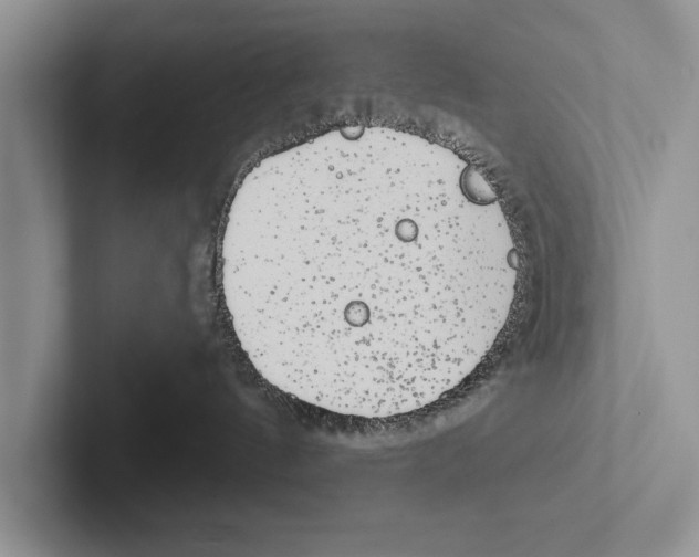 X0000102530144200809051517
