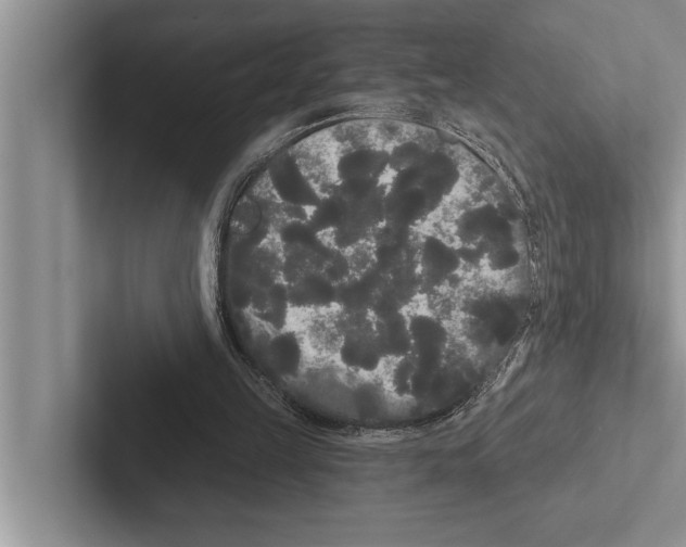 X0000102530149200809051516