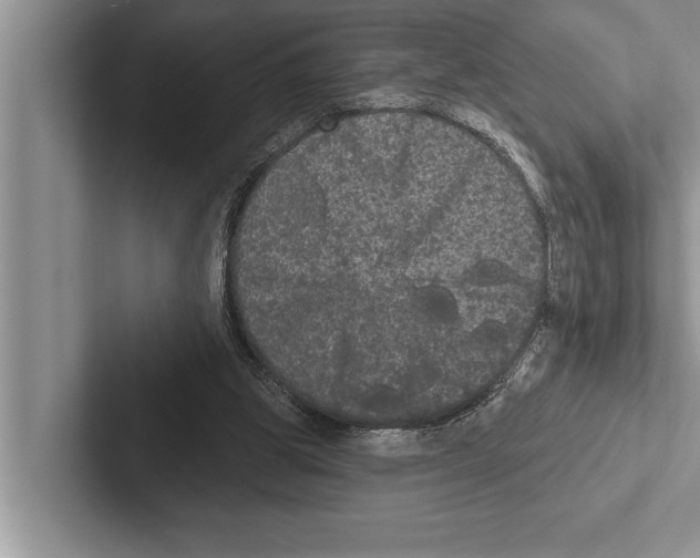 X0000102530153200809051517