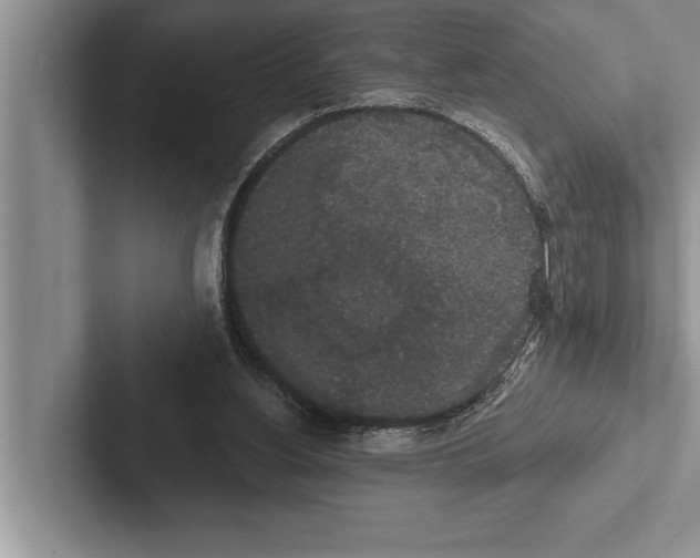 X0000102530156200809051517