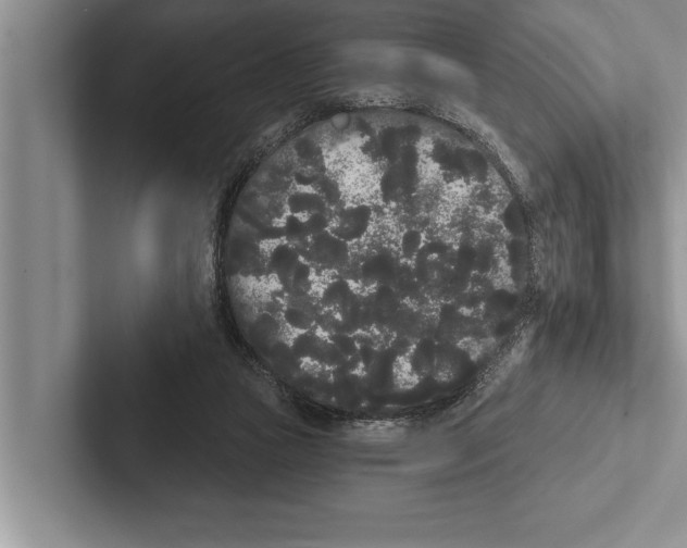 X0000102530161200809051517