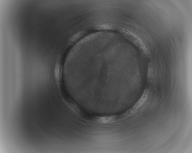 X0000102530168200809051517