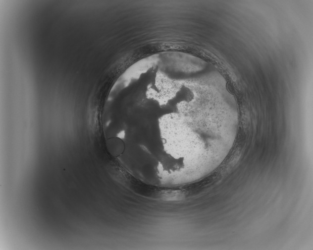 X0000102530169200809051517