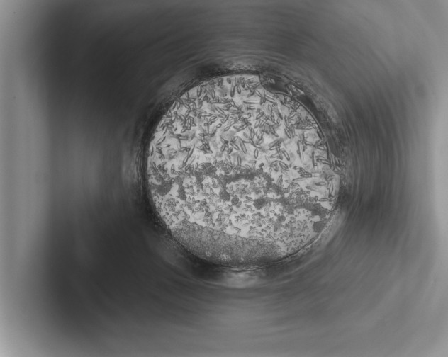 X0000102530175200809051517