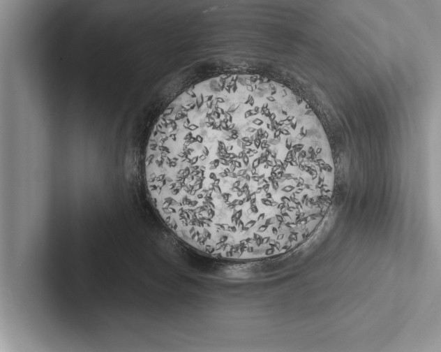 X0000102530178200809051517