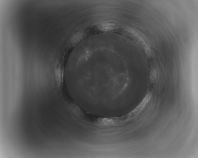 X0000102530180200809051517