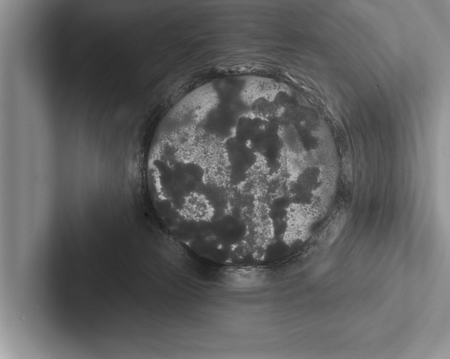 X0000102530181200809051517