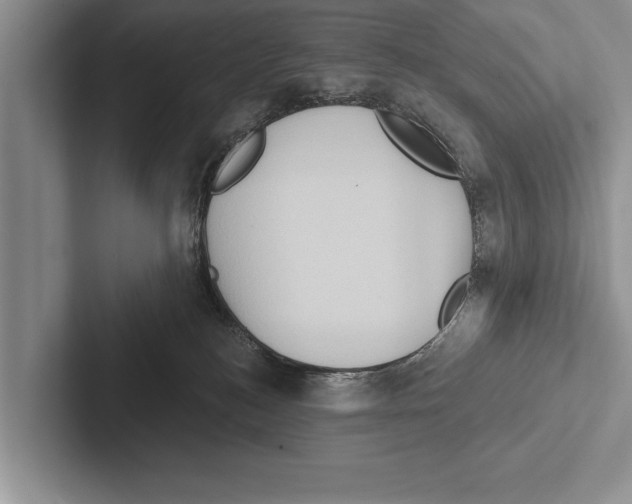 X0000102530184200809051517