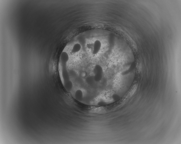 X0000102530185200809051517