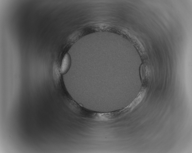X0000102530188200809051517