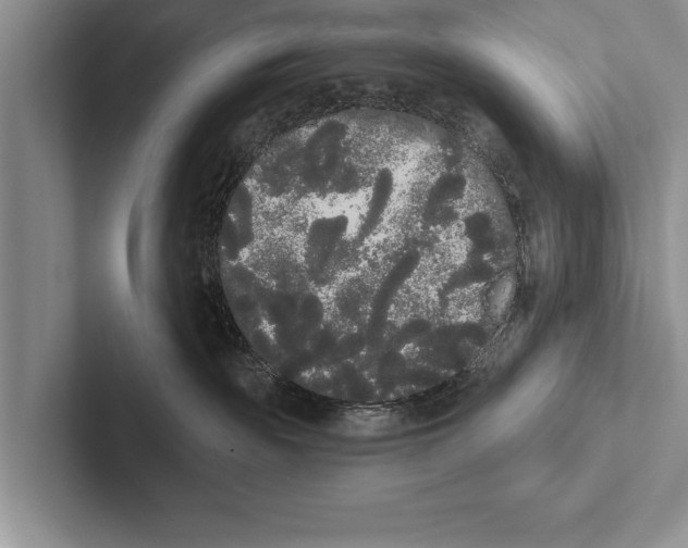 X0000102530189200809051517