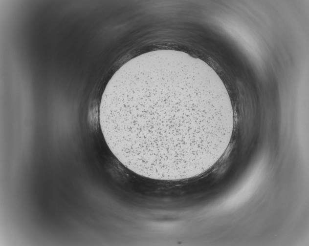 X0000102530190200809051517