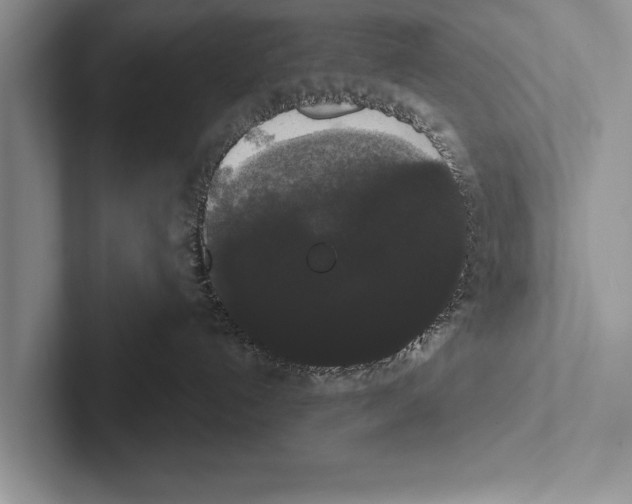 X0000102530192200809051517