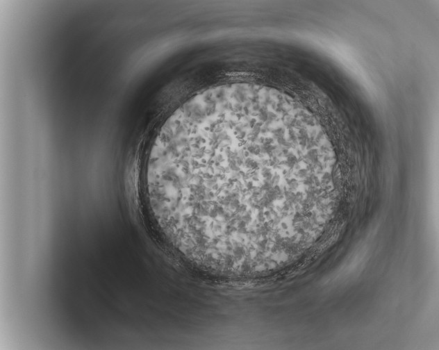 X0000102530194200809051516