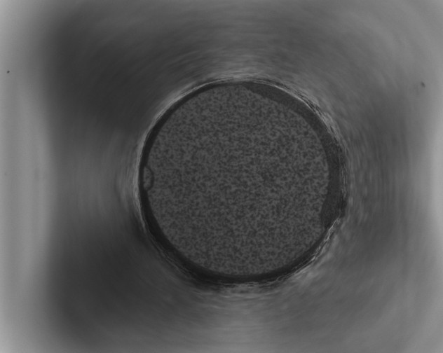 X0000102530196200809051516