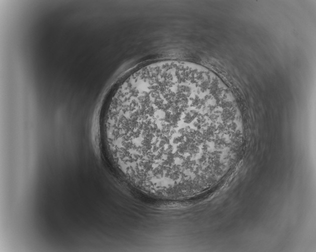 X0000102530198200809051516