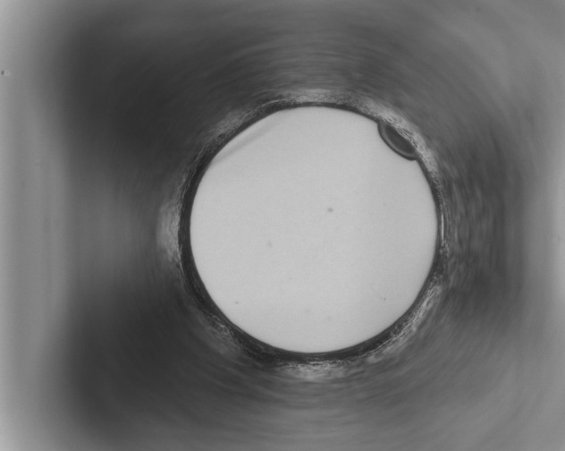 X0000102530201200809051516