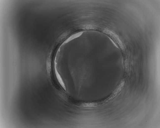 X0000102530202200809051516
