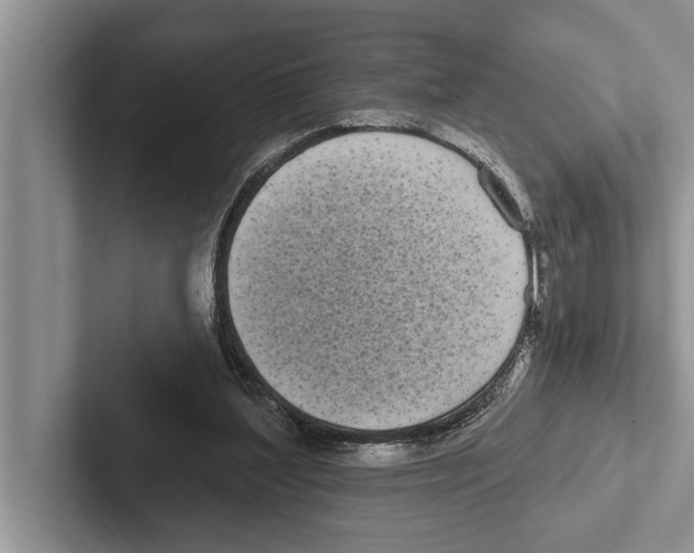 X0000102530204200809051516