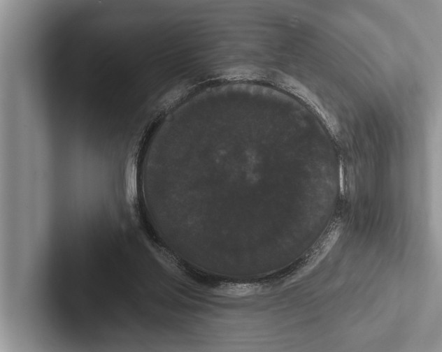 X0000102530205200809051516