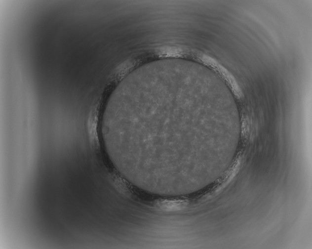 X0000102530209200809051516