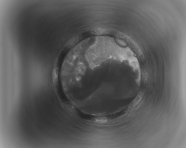 X0000102530214200809051516