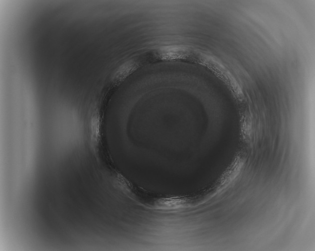 X0000102530219200809051516