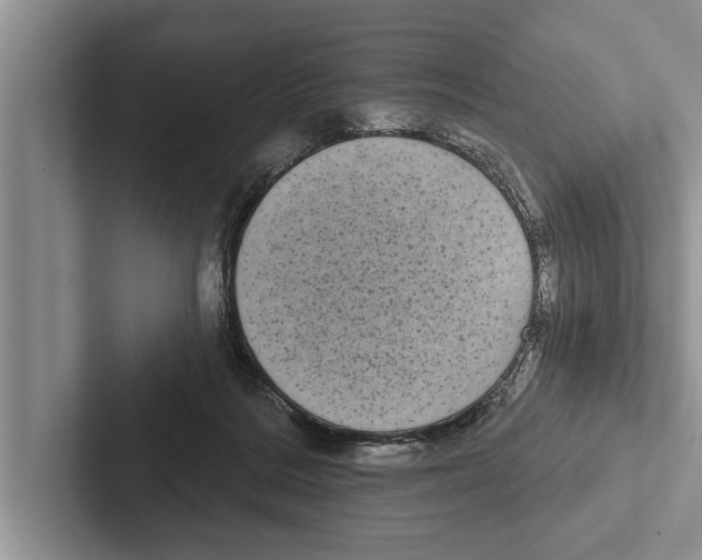 X0000102530220200809051516