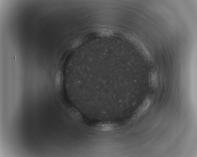 X0000102530228200809051516