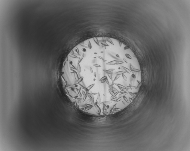 X0000102530230200809051516