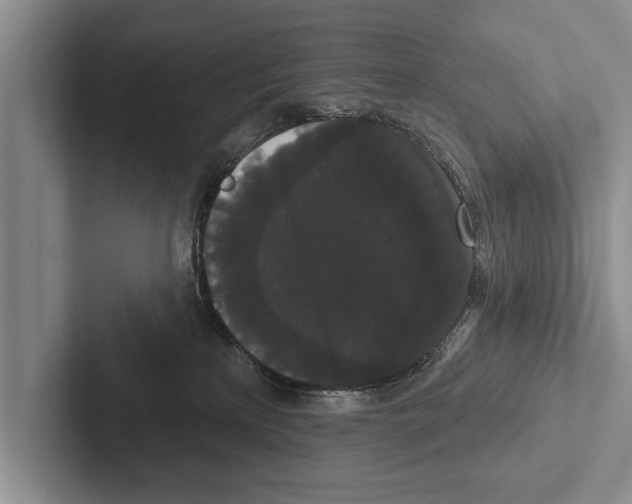 X0000102530233200809051516