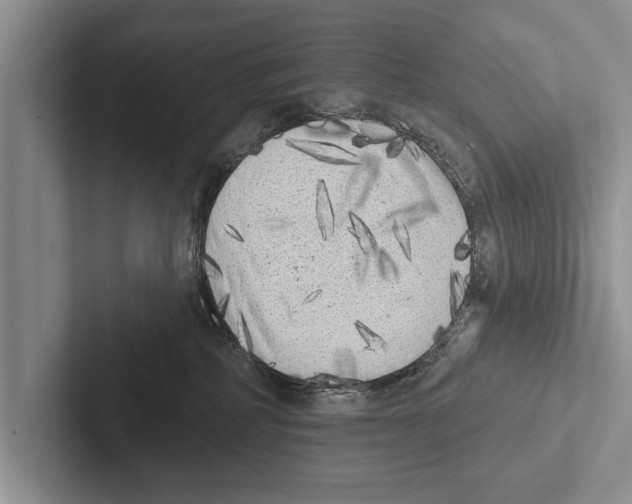 X0000102530234200809051516