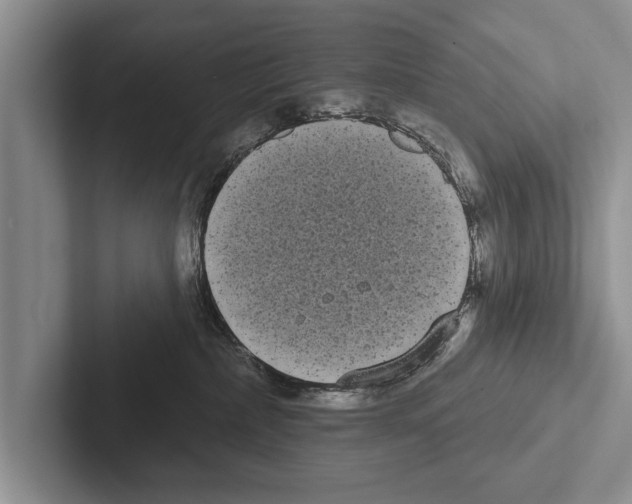 X0000102530236200809051516