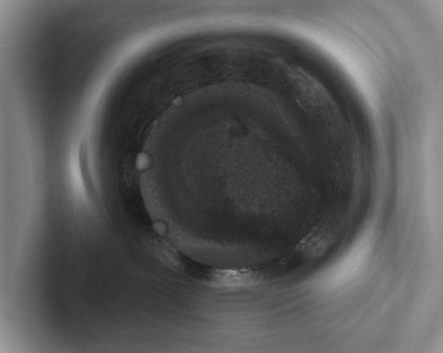 X0000102530239200809051516