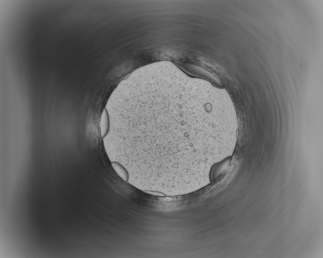 X0000102530240200809051516