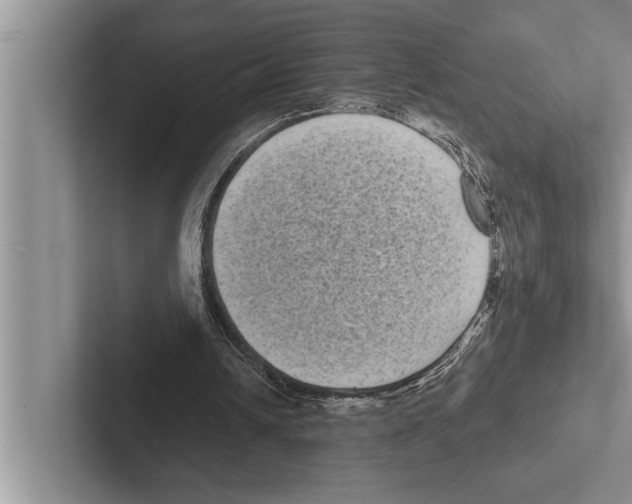 X0000102530242200809051515