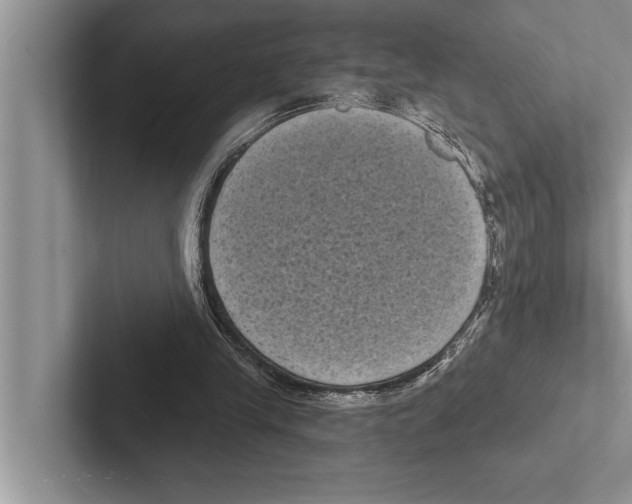 X0000102530245200809051515