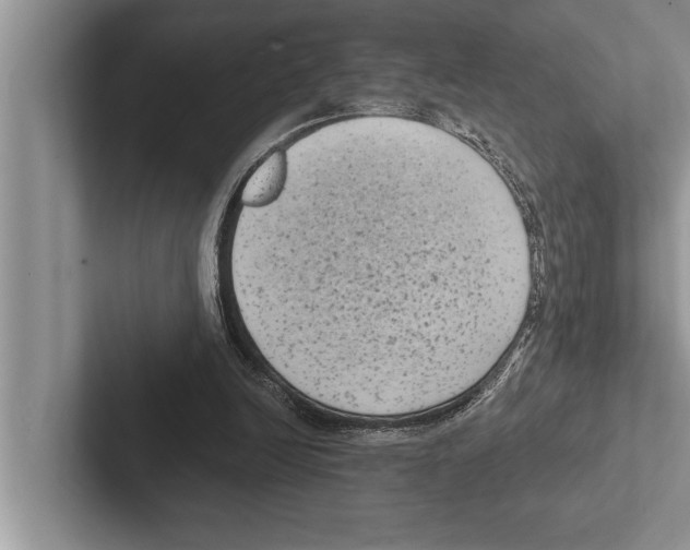 X0000102530246200809051515