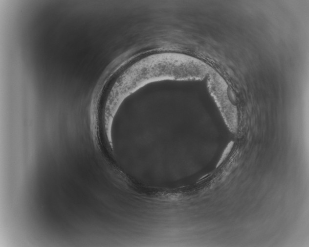 X0000102530247200809051515