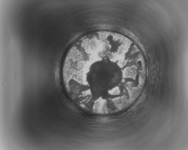 X0000102530249200809051515