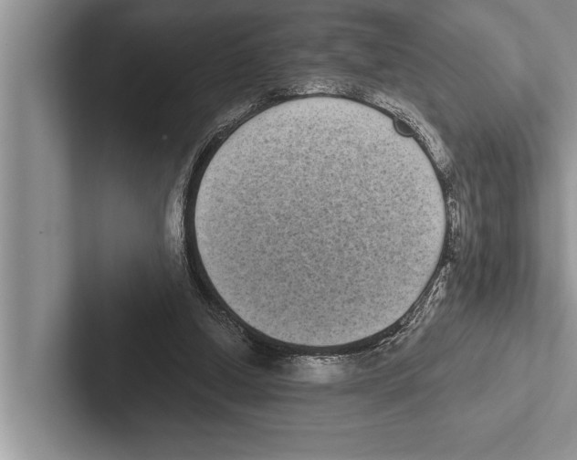 X0000102530250200809051515
