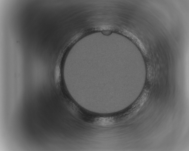 X0000102530251200809051515