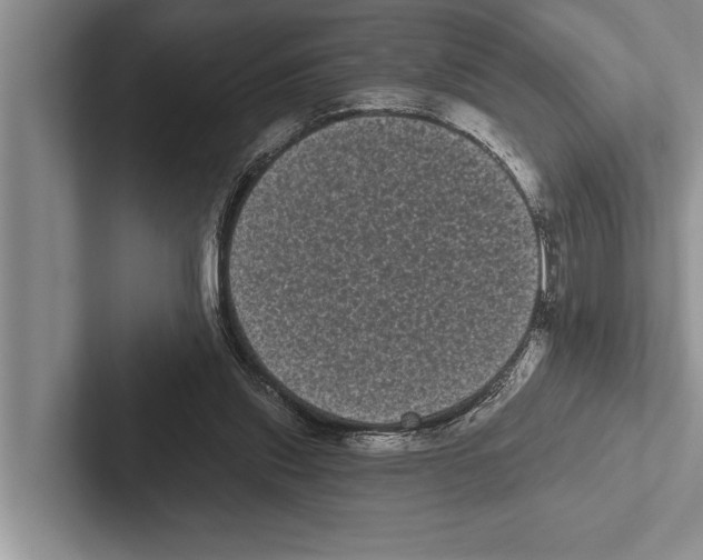 X0000102530253200809051515