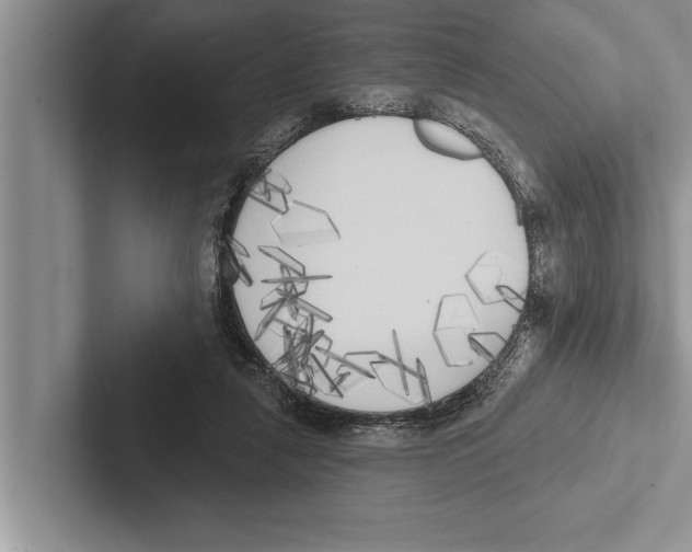 X0000102530259200809051515