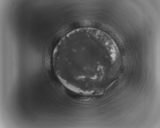 X0000102530267200809051515