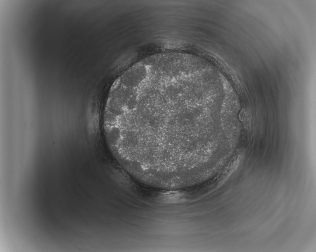 X0000102530269200809051515