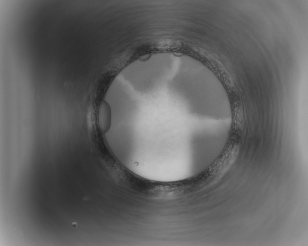 X0000102530272200809051515