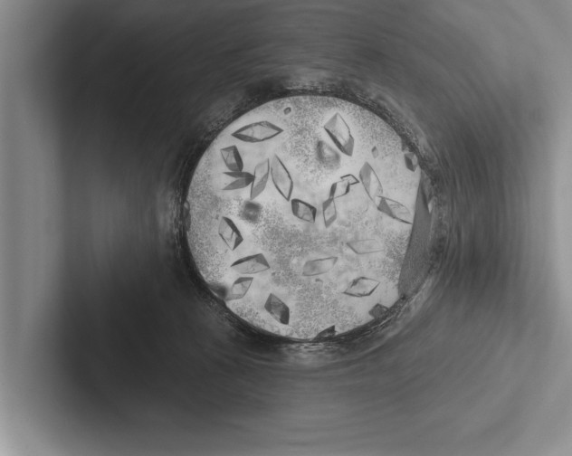 X0000102530273200809051515