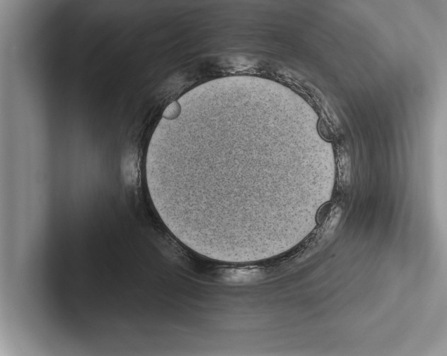X0000102530274200809051515